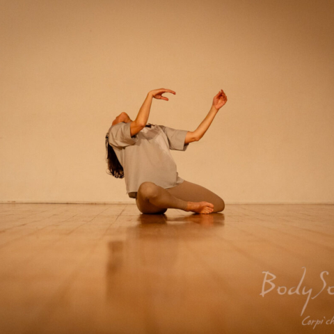 Maria Vittoria Feltre - Epiphany_forme di manifestazione