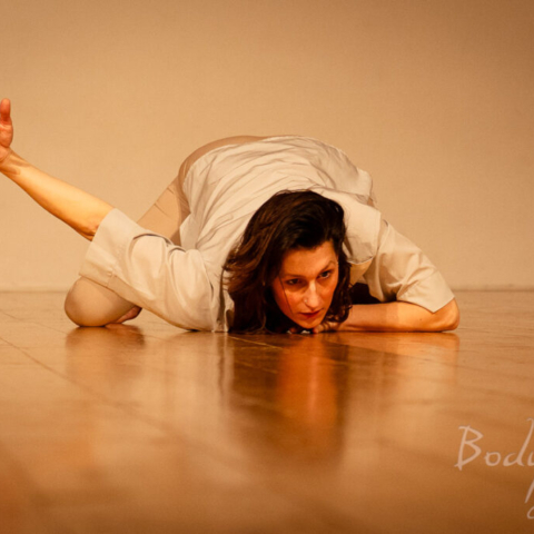 Maria Vittoria Feltre - Epiphany_forme di manifestazione