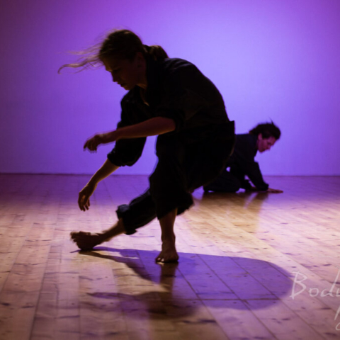 Elisa Pagani - Compagnia DNA - White Noise